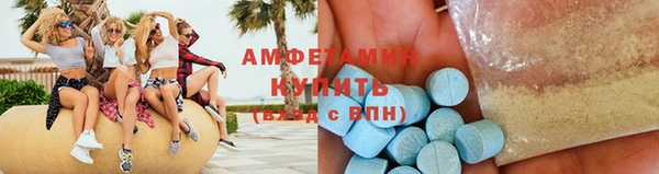 дмт Богданович