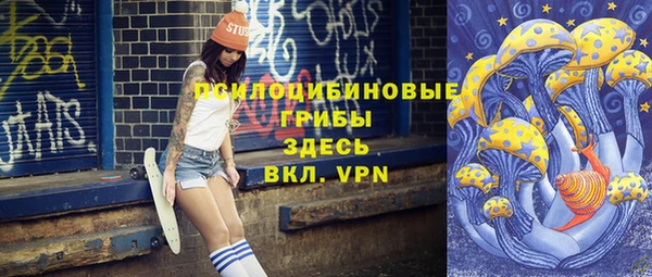 дмт Богданович