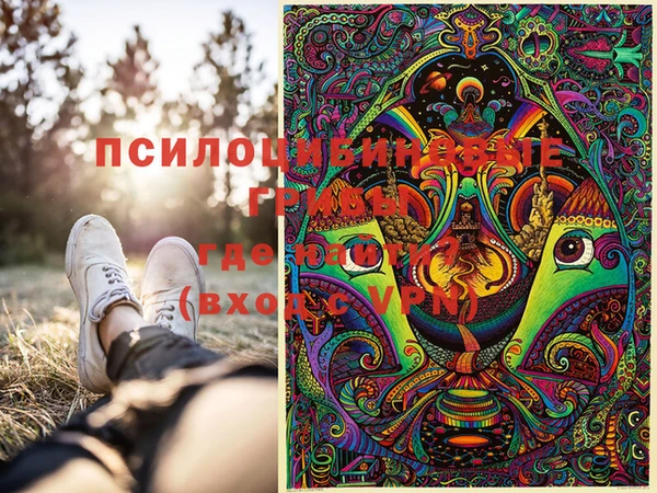 мдма Богородицк