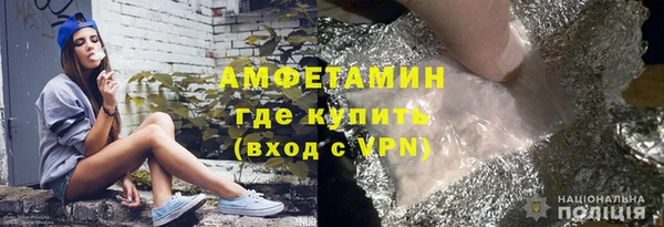 дмт Богданович
