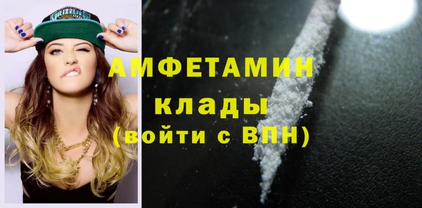 дмт Богданович
