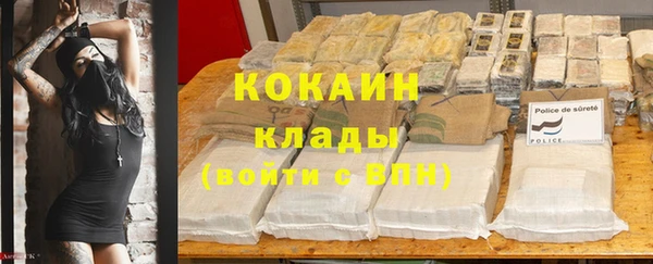 дмт Богданович
