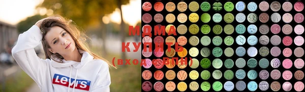 дмт Богданович